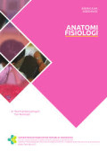 Anatomi Fisiologi